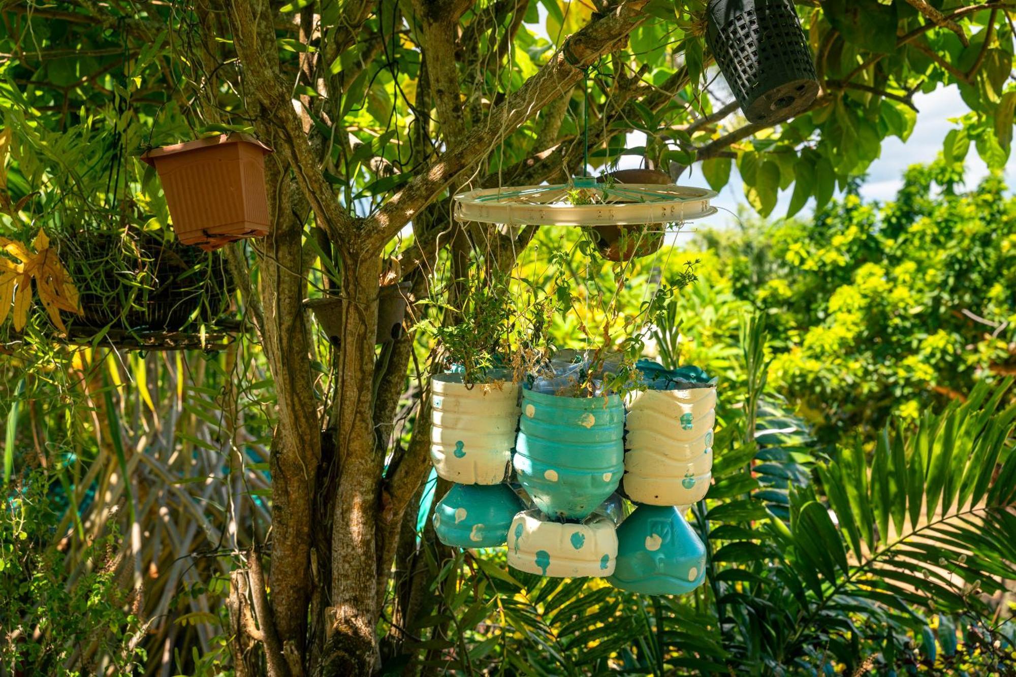 Lemongrass Lodge Бо-Валлон Экстерьер фото