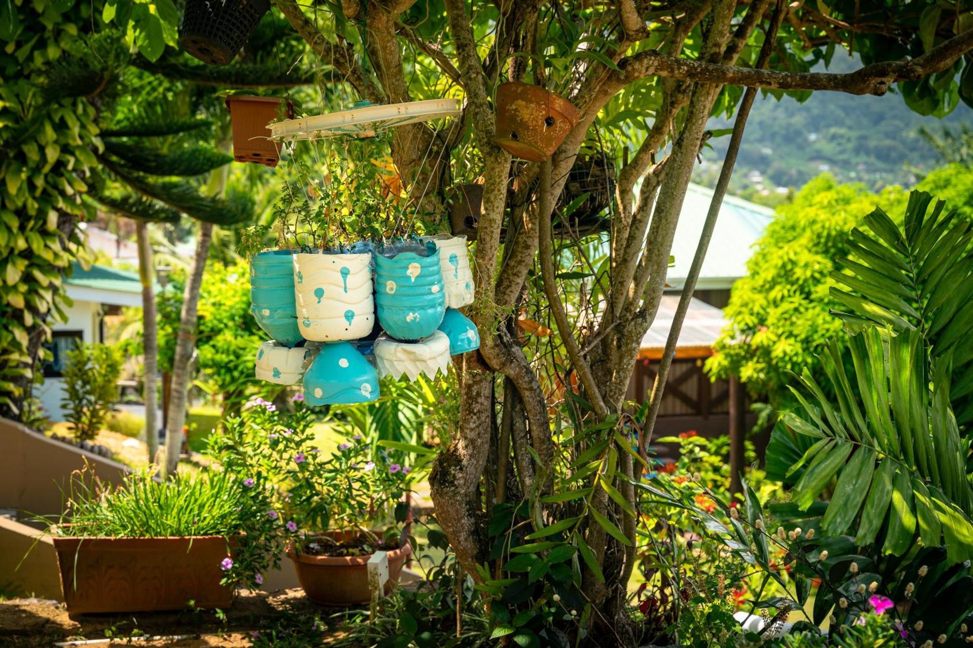 Lemongrass Lodge Бо-Валлон Экстерьер фото